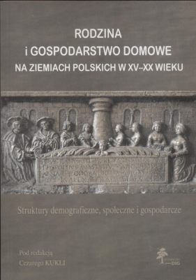 Rodzina i gospodarstwo domowe na ziemiach polskich w XV - XX wieku - Kuklo Cezary (red.)
