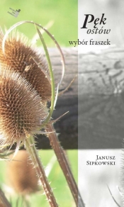 Pęk ostów - Sipkowski Janusz