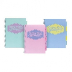 Project Book Pastel A4/100K linia 3szt