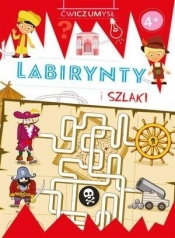 Ćwicz umysł. Labirynty i szlaki - Opracowanie zbiorowe