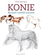 Konie - Sanmiguel David