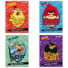 Wkłady do segregatora A5 Angry Birds 10 sztuk mix