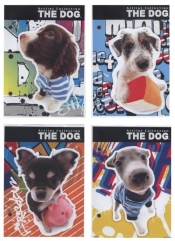 Wkład do segregatora A6 The Dog 10 sztuk mix