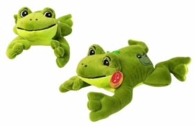 Żaba Kumata średnia