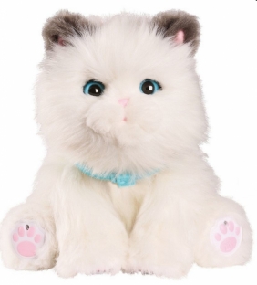 Little Live Pets: Kicia