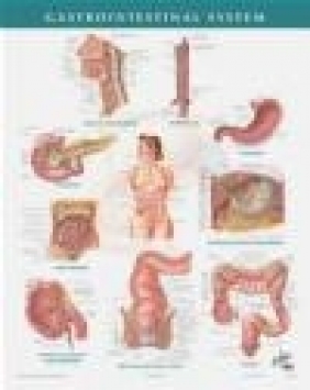 Netter Anatomy Chart Gastrointestinal System Frank H. Netter,  Netter