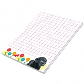 Notes Ev-corp best frient a7 A7 krata (2302)