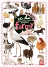 20 fantastycznych zwierząt z farmy Olga Śmietanowska