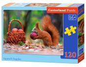 Puzzle 120: Squirrel's Supplies