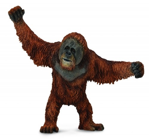 Orangutan (004-88730)