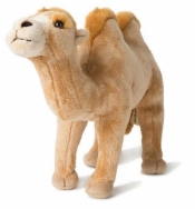 Wielbłąd 29 cm WWF