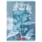 Zeszyt Herlitz Standard Blossom A4/60k kratka z marginesem, 1 szt