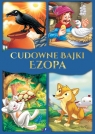 Cudowne bajki Ezopa Opracowanie zbiorowe