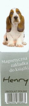 Magnetyczna zakładka do książki Pies duży