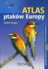 Atlas ptaków Europy Przewodnik terenowy z 1400 barwnymi zdjęciami Singer Detlef