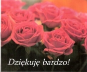 DZIEKUJĘ BARDZO PEREŁKI - Opracowanie zbiorowe
