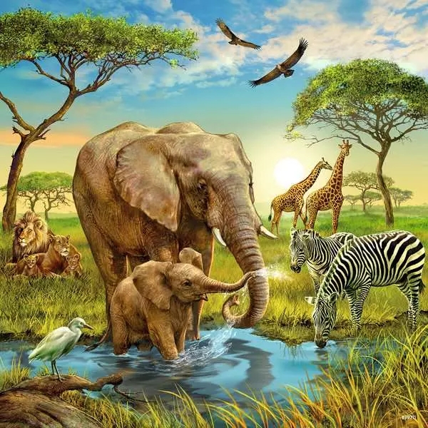 Ravensburger, Puzzle 3x49: Zwierzęta świata (09330)