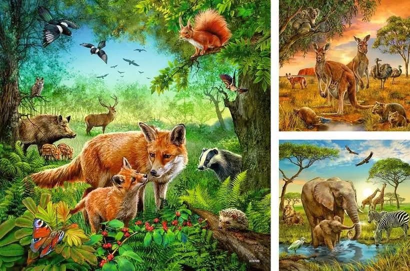 Ravensburger, Puzzle 3x49: Zwierzęta świata (09330)