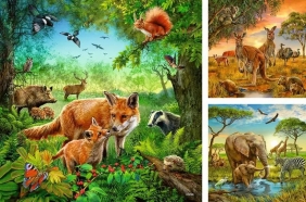 Ravensburger, Puzzle 3x49: Zwierzęta świata (09330)