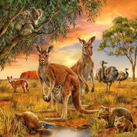 Ravensburger, Puzzle 3x49: Zwierzęta świata (09330)