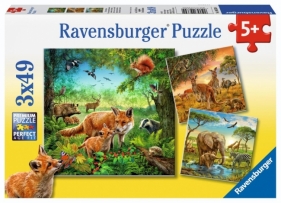 Ravensburger, Puzzle 3x49: Zwierzęta świata (09330)