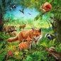Ravensburger, Puzzle 3x49: Zwierzęta świata (09330)