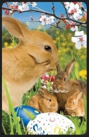 Wielkanocne króliczki minikartka 3D