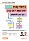  Inżynieria dużych modeli językowych. Podręcznik projektowania, trenowania i