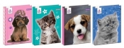 Brulion A6 The Sweet Pets w kratkę 96 kartek