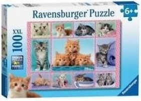 Puzzle 100 Słodkie kociaki XXL