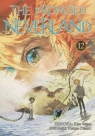  The Promised Neverland. Tom 12