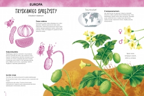 Sekretne życie roślin. Atlas bioróżnorodności - Durand Emanuela, Camusso Leonora