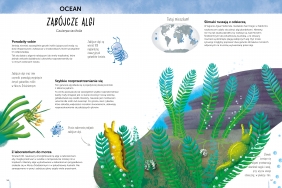 Sekretne życie roślin. Atlas bioróżnorodności - Durand Emanuela, Camusso Leonora