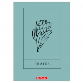 Zeszyty Herlitz - A4/60K, linia z marginesem