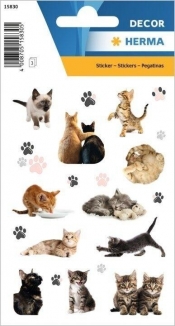 Naklejki Decor Koty