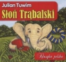 Słoń trąbalski