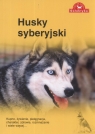 Husky syberyjski kupno żywienie pielęgnacja charakter zdrowie