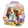  Little Live Pets - Piesek z transporterkiem