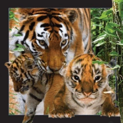 <img src='https://webimage.pl/pics/306/0/d5710431000306.jpg'>