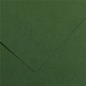 Karton kolorowy 150G 50X65 31 ciemna zieleń