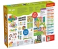 Carotina - 50 gier (304-PL76710)