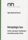 Antropologia lasu