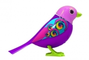 DigiBirds z ramką Legacy - <br />