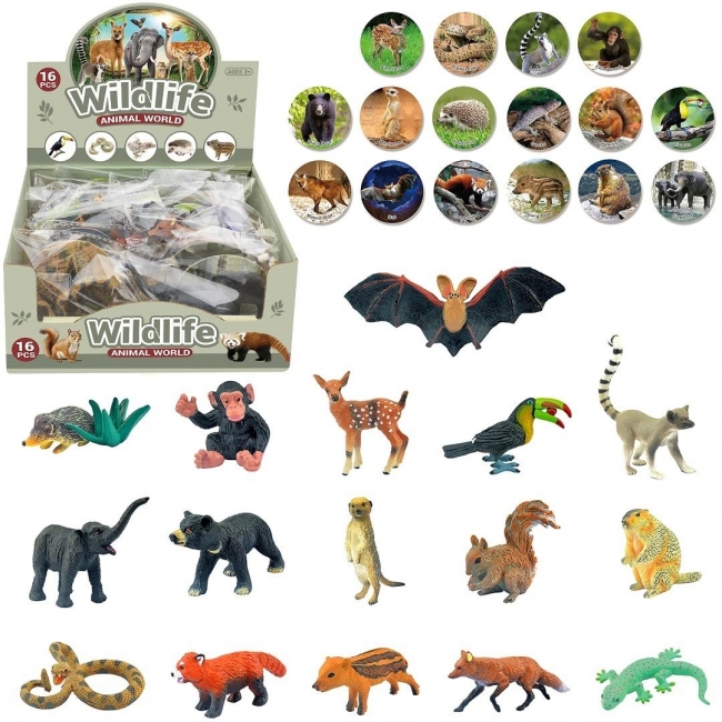 Zwierzęta dzikie zoo MIX