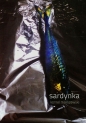 Sardynka - Kornel Maliszewski