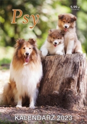 Kalendarz 2023 ścienny Psy