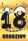 <img src='https://webimage.pl/pics/307/3/d5908451983307.jpg' width='132' height='189'> Karnet A5 Urodziny Osiemnastka - Lukrowa