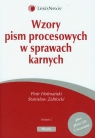 Wzory pism procesowych w sprawach karnych z płytą CD Hofmański Piotr, Zabłocki Stanisław