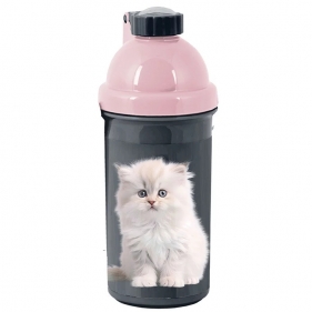 Paso, Bidon Little white cat