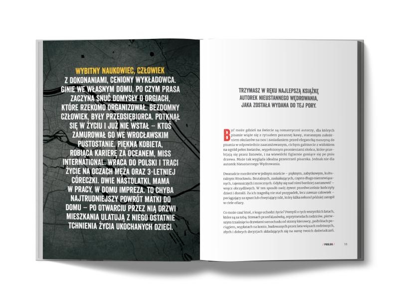 <img src='https://webimage.pl/pics/307/6/d9788383176307-6.png'>